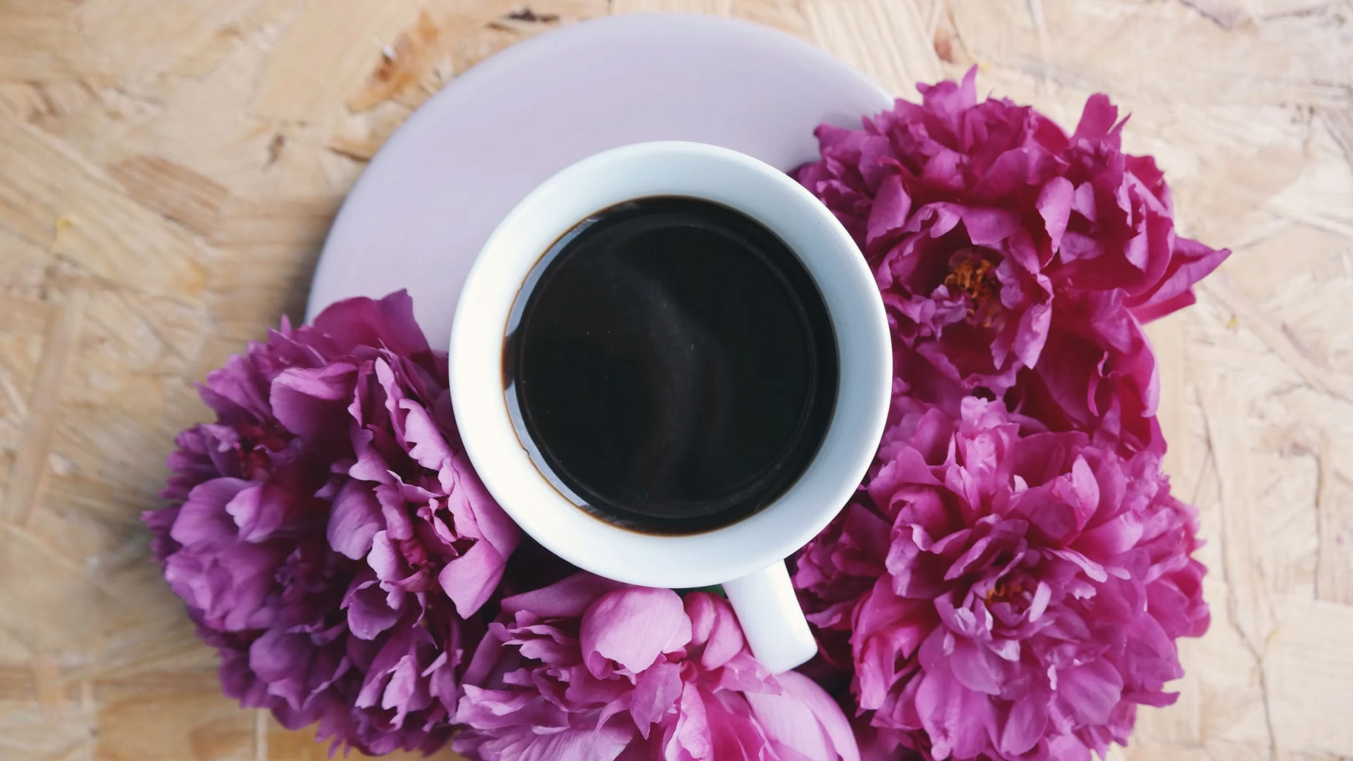 Café vue 7